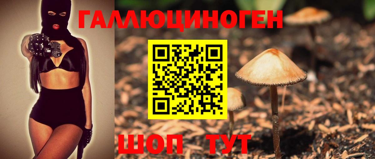 Галлюциногенные грибы мицелий  Галлюциногенные грибы прущие грибы  Карпинск  Вход с VPN 